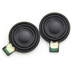 A pair of NDS Lite speaker